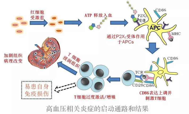 640.webp-(2).jpg